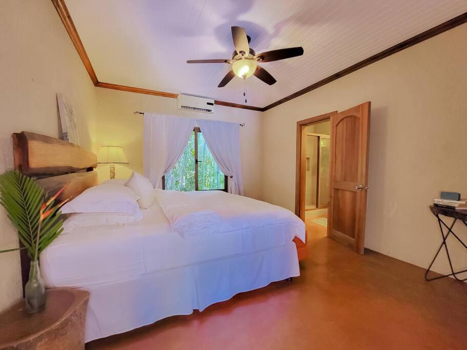 Vive Utila - Bed & Breakfast Exterior photo