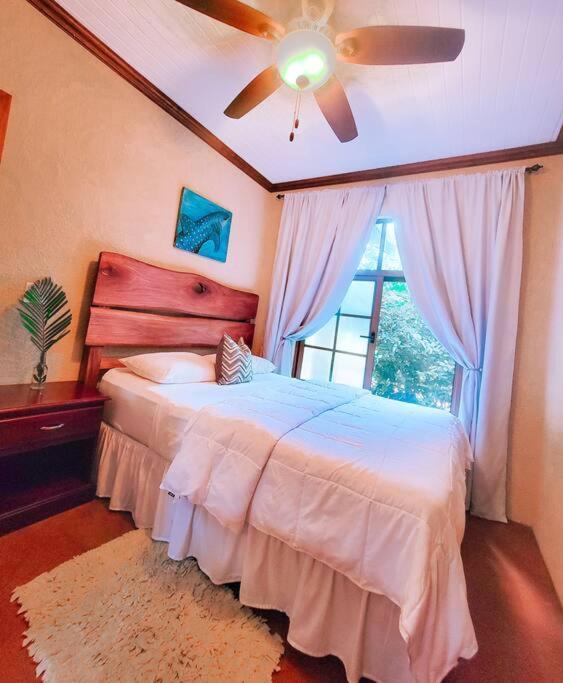 Vive Utila - Bed & Breakfast Exterior photo